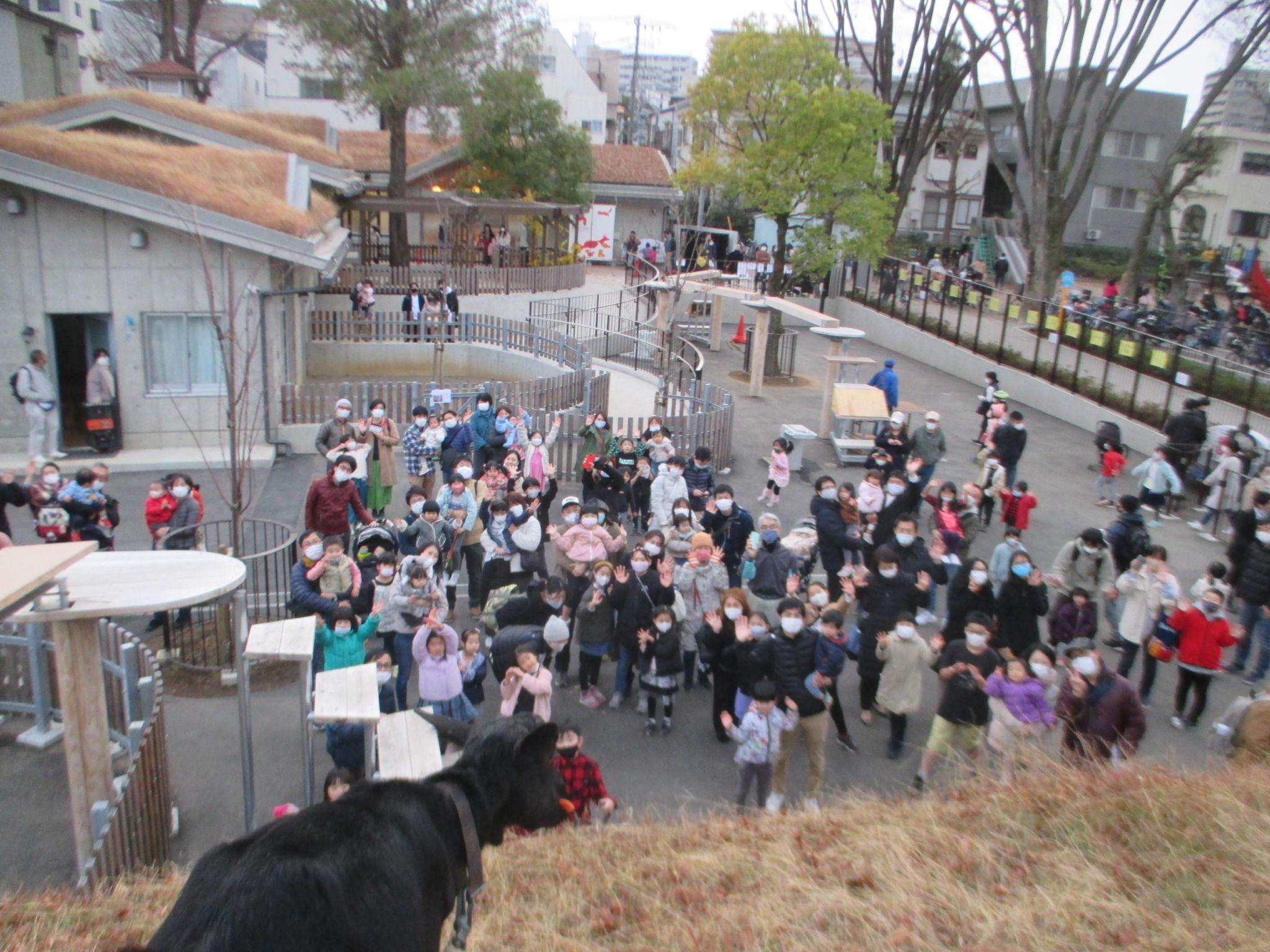 グランドオープン後初の週末! 東板橋公園|板橋こども動物園と徳丸ヶ原公園|こども動物園高島平分園